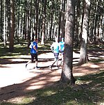 Starte in die Dithmarscher Charity-Laufwochen 2026